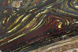 Polished Tiger Iron Stromatolite - ( Billion Years) #92961-1